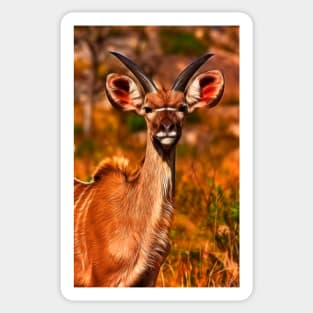 Young Kruger Kudu Sticker